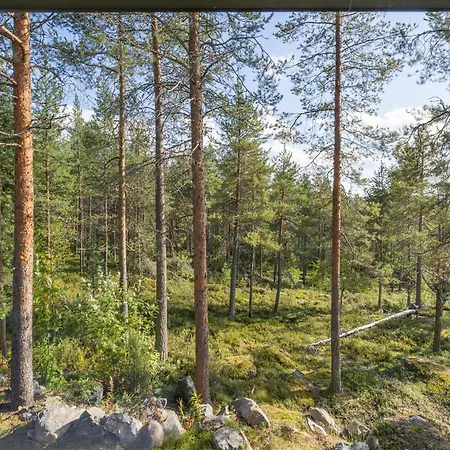Apartman Arctic Wood Art City *